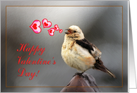 Happy Valentine’s Day greeting card,bird spring song card