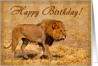 Happy Birthday greeting card, Male lion in hot savannah card