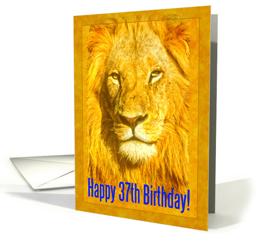 Happy 37th Birthday greeting card, Male lion portrait card (889588)