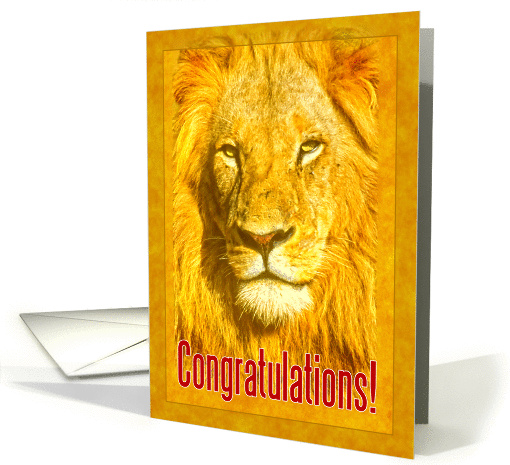 Congratulations greeting card, Male lion portrait card (889598)