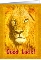 Good Luck greeting card, Male lion portrait card