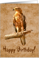 Happy Birthday greeting card, Eagle on the branch card