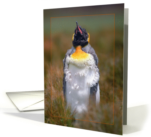 Chick penguin greeting card, card (890424)