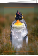 Chick penguin greeting card, card