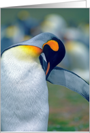 Emperor penguin greeting card, card