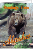 Greetings from Alaska greeting card, brown bear card