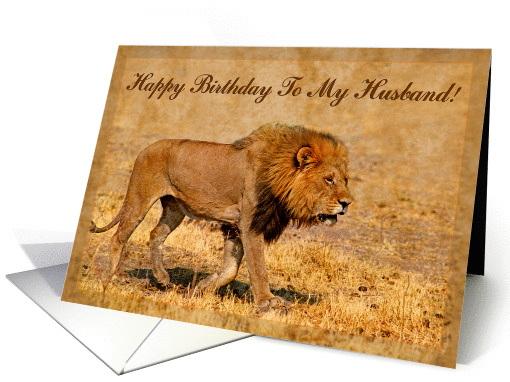 Happy Birthday To My Husband greeting card,mail lion in... (891898)