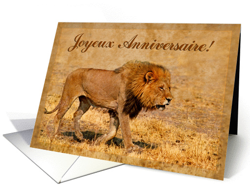 Happy Birthday french language greeting card, lion in savannah card