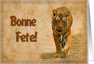 Happy Birthday,french language greeting card, tiger in savannah card