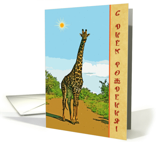 Happy Birthday russian greeting card,giraffe in savannah card (898331)