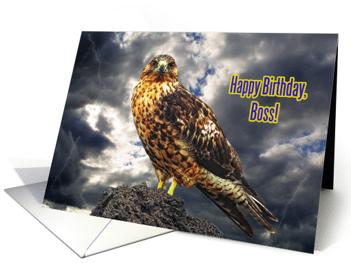 Happy birthday Boss greeting card,eagle card (898971)
