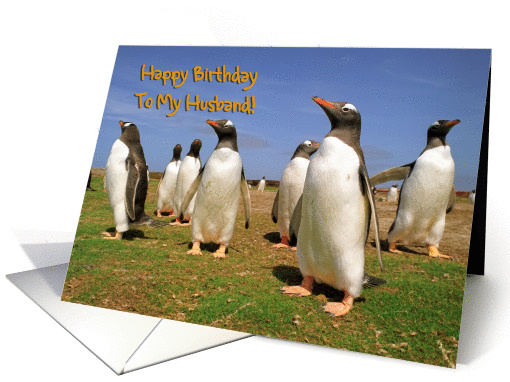 Happy Birthday to My Husband greeting card,penguins in love card