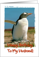 Happy Birthday to My Husband greeting card,penguins in love card