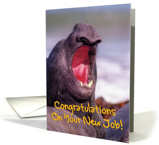 Congratulations On your New Job Dentist greeting card,sea... (910179)