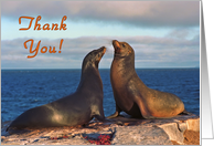 Tank you card,two fur seals on coastline card