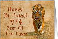 Year of the tiger...