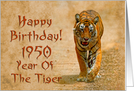 Year of the tiger...