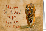 Year of the tiger...