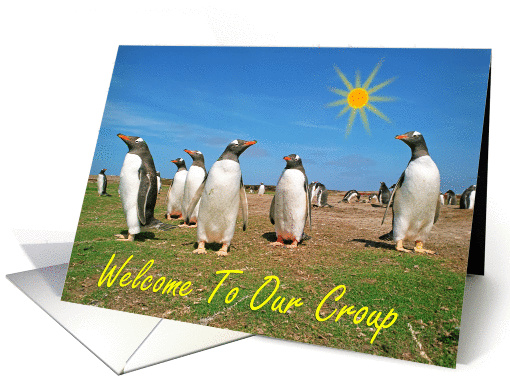 Welcome to our group greeting card, meeting penguins card (949962)