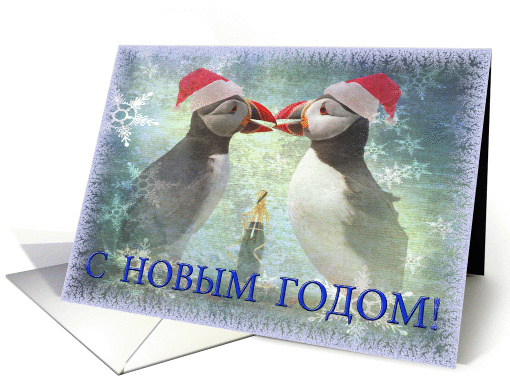 Happy New Year greeting card,two funny puffins card (954693)