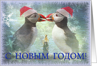 Happy New Year greeting card,two funny puffins card