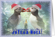 Happy Christmas greeting card,two funny puffins card