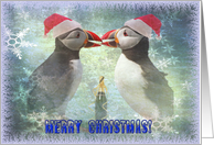 Merry Christmas greeting card,two funny puffins card