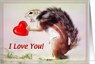 I love you greeting card,funny squirrel card