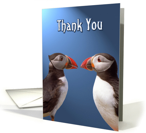 Thank you greeting card,two funny puffins card (955163)