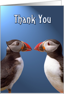 Thank you greeting card,two funny puffins card