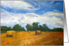 Hay Fields - Any occation, blank note card