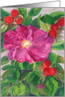 Wild Pink Rose Birthday card