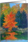 The Orange Tree - Canada, Thanksgiving Dinner Invitation card