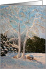 Iced Birch - general blank note card