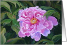 Blooming Pink Peony Birthday for Sweetheart card