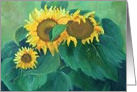 Sunflower Sunshine Family Birthday card