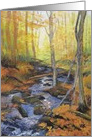 Fall in Gatineau Park General Blank card