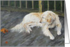 Spirit - white Golden Retriever, blank card