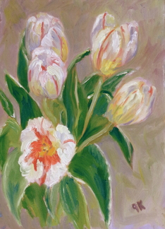 Tulips from...