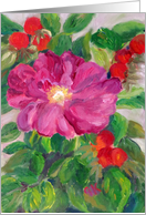 Wild Pink Rose Birthday card