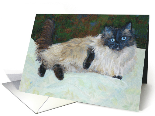 Ragdoll Cat Jessie Blue - General blank card (1488924)