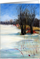 Winter at Petrie Island - Christmas card