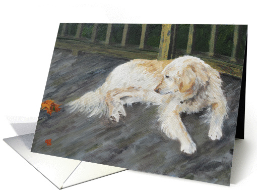 Spirit - white Golden Retriever, blank card (938306)