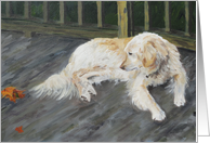 Spirit - white Golden Retriever, blank card