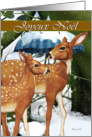 Joyeux Nol - French, Doe and Fawn, Deer, Snow, Winter Christmas Card