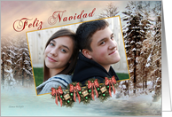 Feliz Navidad Spanish Photo Card - Merry Christmas, Winter Scene card