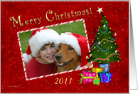 Merry Christmas - Your photo here Tree and Presents card