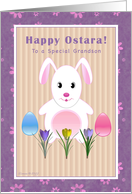 Grandson - Happy Ostara - Ostara Bunny Purple card