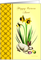 Aunt - Happy Ostara - Yellow Daffodils and Bunny card