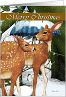 Merry Christmas Doe and Fawn, Deer, Winter, Snow Card